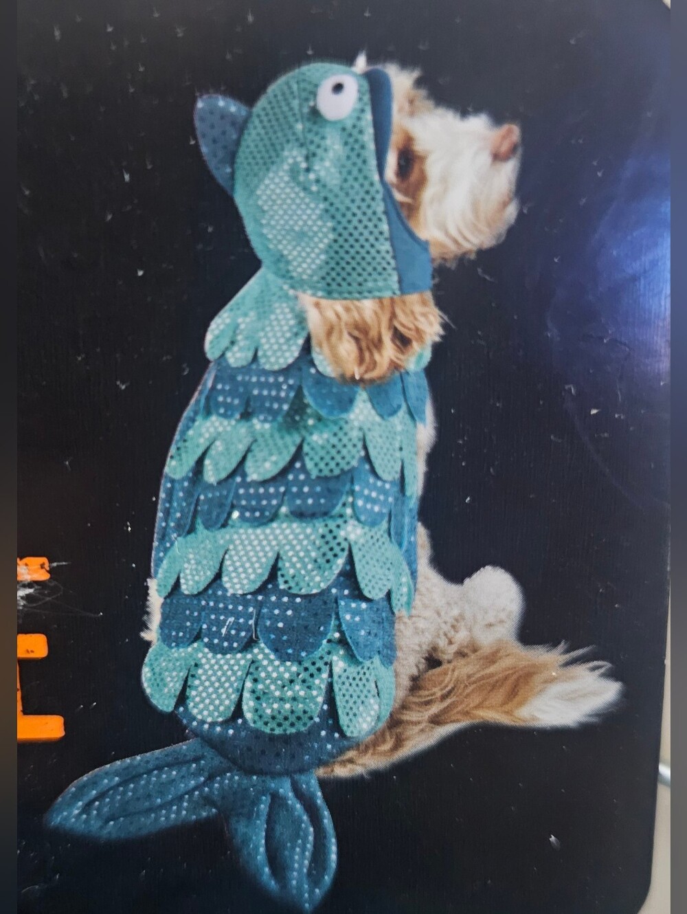 Teal Fish Costume Dog Hoodie - Pet Dress-Up Sz Small